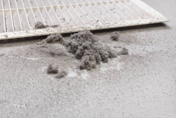 Best Affordable Duct Cleaning Services  in Oneonta, AL