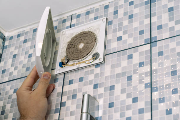 Best Air Duct Mold Removal  in Oneonta, AL